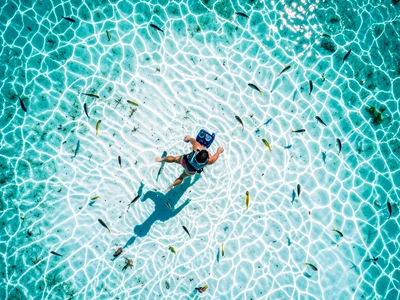 A coral snorkeler from above in clear shallow water, the person's shadow on the 