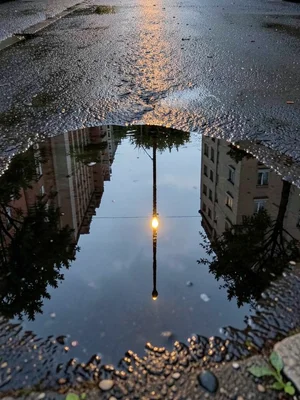 Single streetlight reflected in rain puddle, long glowing streak on wet pavement