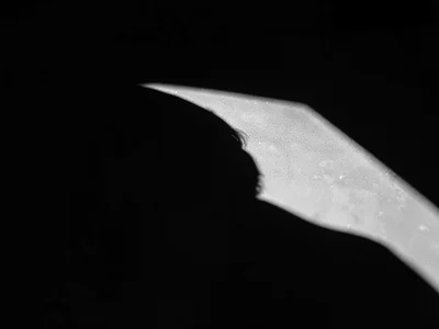 Shadow as primary composition