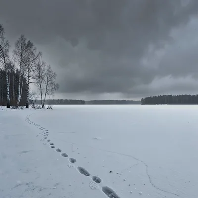 Stark Baltic minimalism, contemplative mood, Frozen lake stretching to horizon u