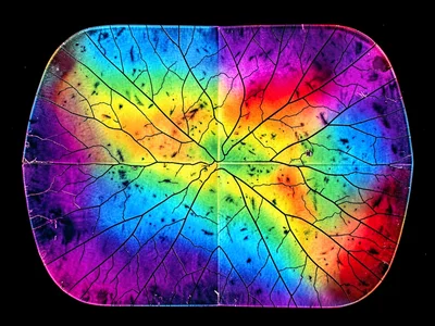 Full object showing complete stress map