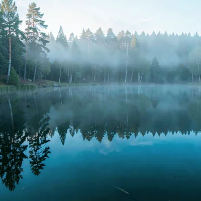 Finnish lake mirror, dead-calm reflection, Morning mist hovering above mirrored 