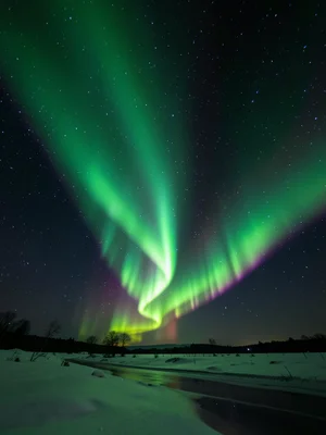 Aurora with visible ray structure, individual vertical rays like a picket fence 