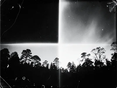 A solarized landscape: trees and sky with reversed tones at the boundary, the Ma