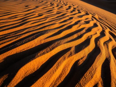 Cross-bedding exposed in cut sand dune, layered internal structure showing succe