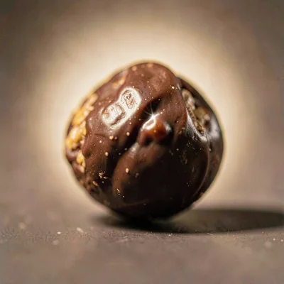 Macro of a single chocolate-covered nut with a sharp highlight on its shell, sof