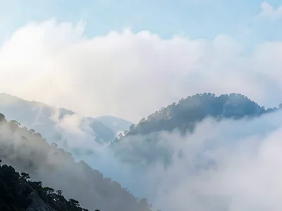 Clear to fog transition conditions