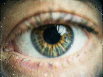 Soft focus iris showing structure