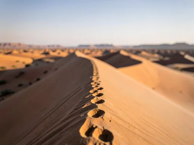 Dune ridge from footprint to distant range