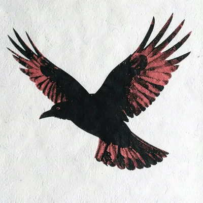 silhouette of a single bold raven mid-flight with halftone wing-feathers in red 