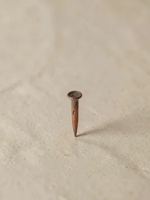 A solitary copper roofing nail standing alone on beige paper, head burnished by 