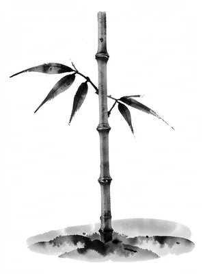 Single bamboo stalk in morning mist, three leaves brushed in one motion