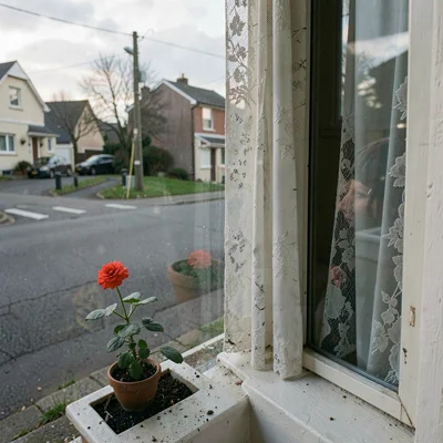 Quiet small town photography, contemplative scene, A window of a house with lace