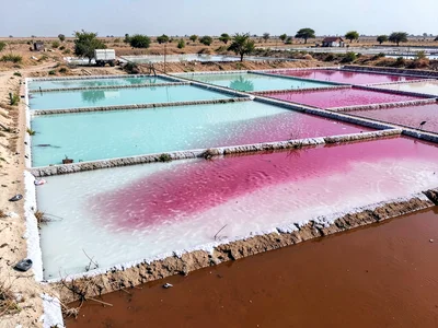 Salt evaporation ponds, bacterial gradients creating spectrum from teal to magen