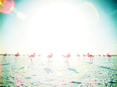 Endless white salt plain dotted with pink flamingo statues facing an enormous ov