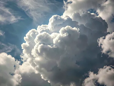 Approaching cloud bank showing internal structure through translucency