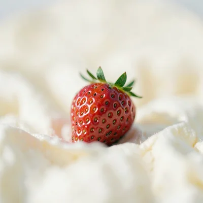 Single strawberry in focus against creamy field