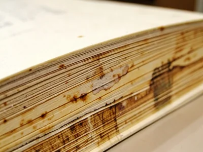 Water-damaged book edge, tide mark running diagonally across page strata, stain 