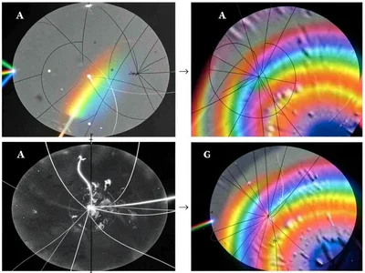Multiple stress sources creating interference