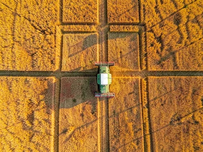 A single combine harvester cutting through a golden wheat field, leaving a geome