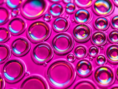 Oil droplets floating on magenta-dyed water, dozens of circular cells each refra
