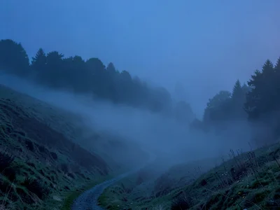 Path descending into fog becoming suggestion then nothing