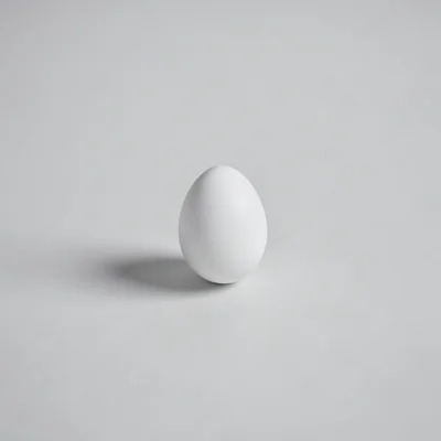 A single white egg centered on a vast pale grey surface, the shadow it casts the