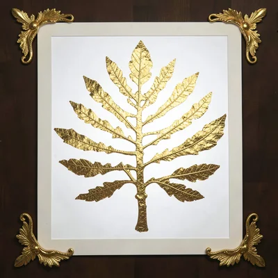 A skeleton leaf backlit against white, veins filled with gold leaf