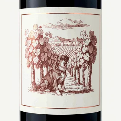 Wine label illustration, Vineyard dog among the vines , elegant estate scene, vi