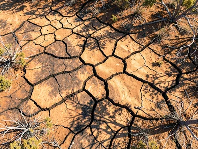 Mosaic burn pattern creating abstract from above