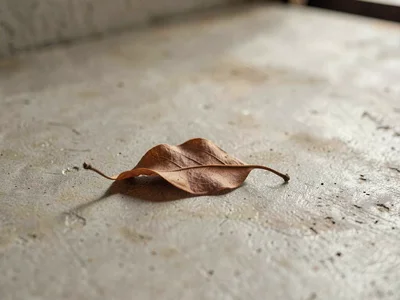 A solitary dried magnolia leaf curled and rust-toned resting alone on washed con