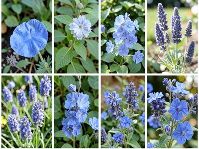 Nature collection blue