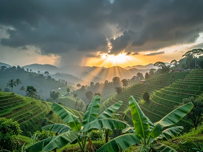 Emerald green hills through morning mist in Kigali, Rwanda, Sunset through rain 