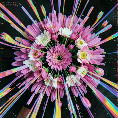 Flower arrangement with pixel sorting applied in circular pattern from center ou