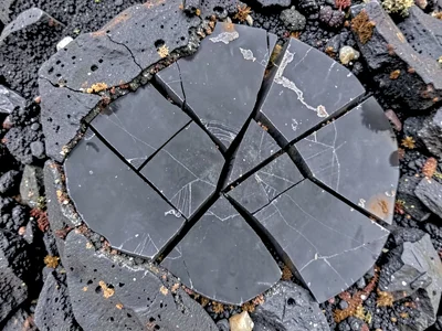 Obsidian fracture surface showing conchoidal breaks