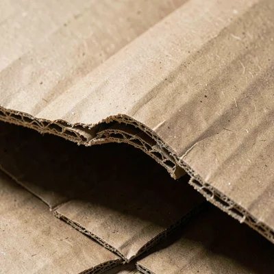 Torn cardboard edge revealing layers, material archaeology
