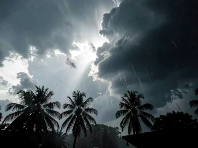 Palm trees silhouetted against storm sky