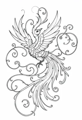 Phoenix rising flourished