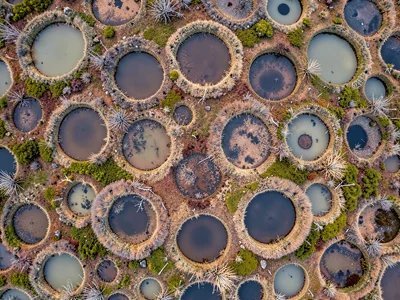 Circular bog pools in regular pattern like giant bubbles