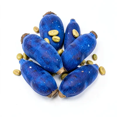 Seeds and pods blue