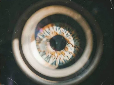 Soft focus iris showing structure