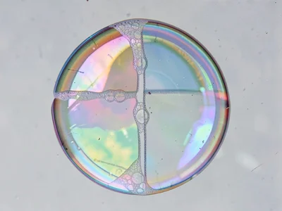 Double bubble showing shared wall