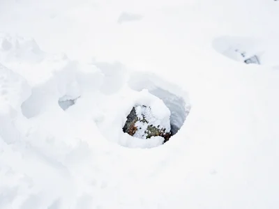 Single stone emerging from snow drift