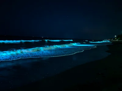 Glow Tidal