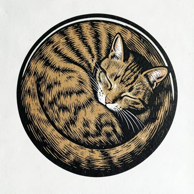 Sleeping cat curled up