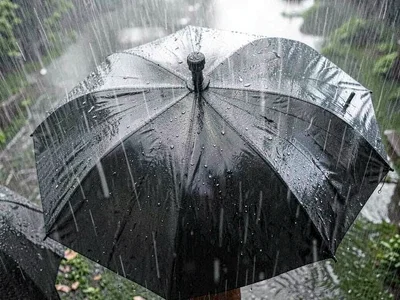 Umbrella pattern from above in rain