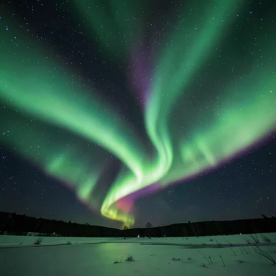 Aurora corona directly overhead, rays converging at magnetic zenith, viewer look