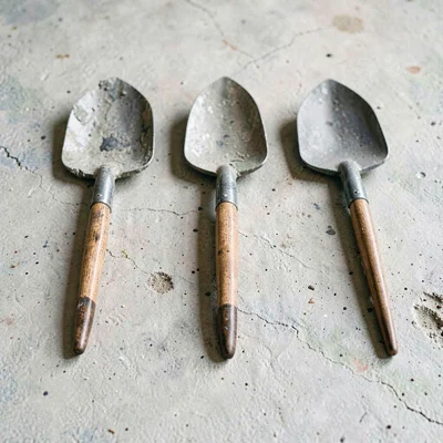 Sculptural lineup of five garden tools in graduated sizes laid on chalky concret