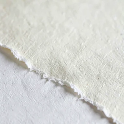 Macro of cream paper torn along a deckle edge revealing fiber bloom