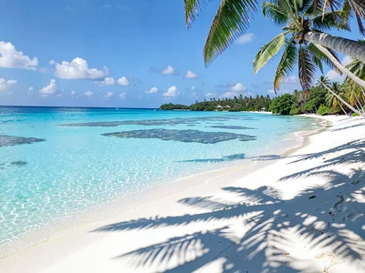 Lagoon turquoise light in Rarotonga, The curved horizon of the lagoon meeting th